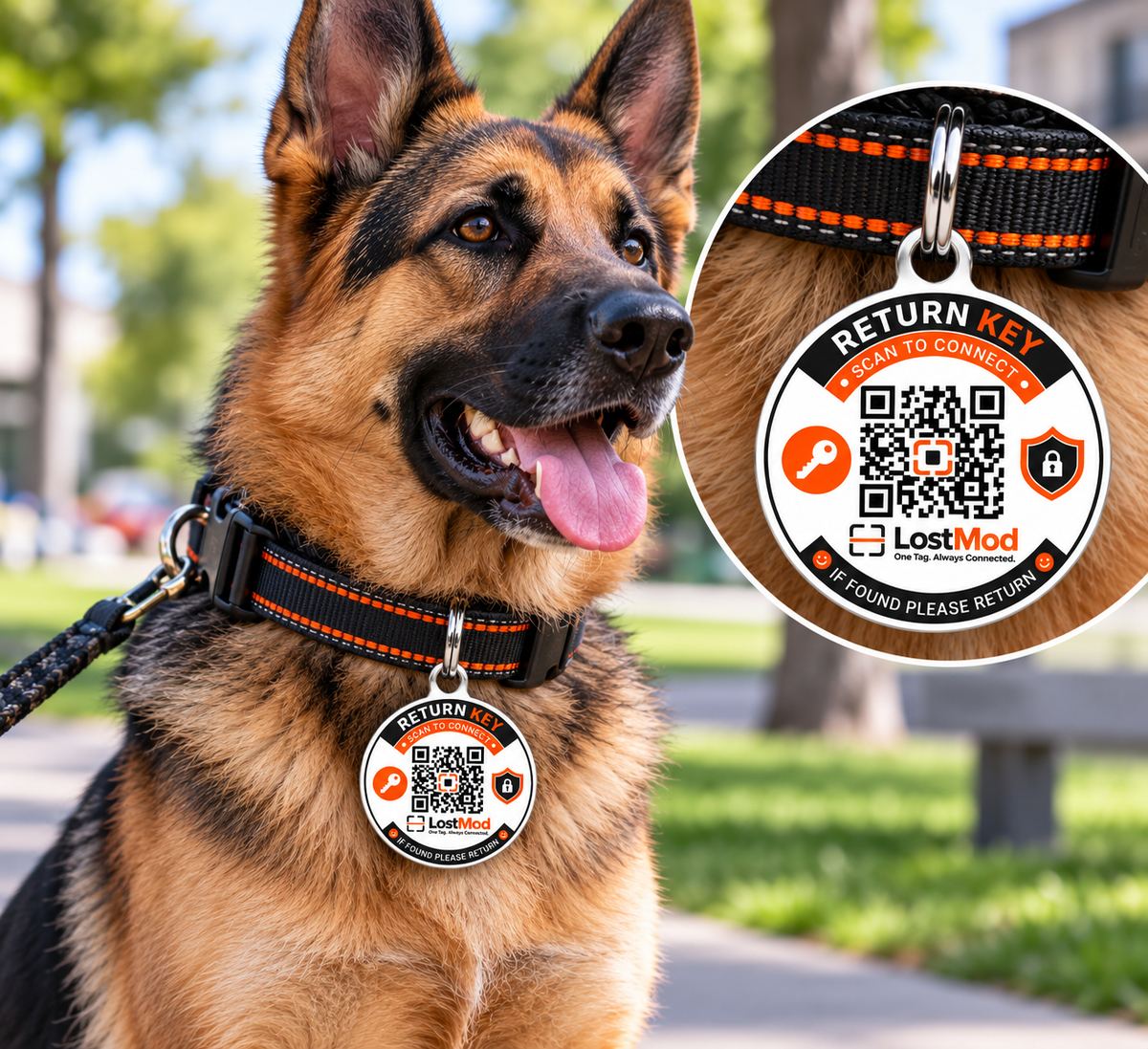 LostMod Pet Finder QR Tag | Smart Dog & Cat ID Tag