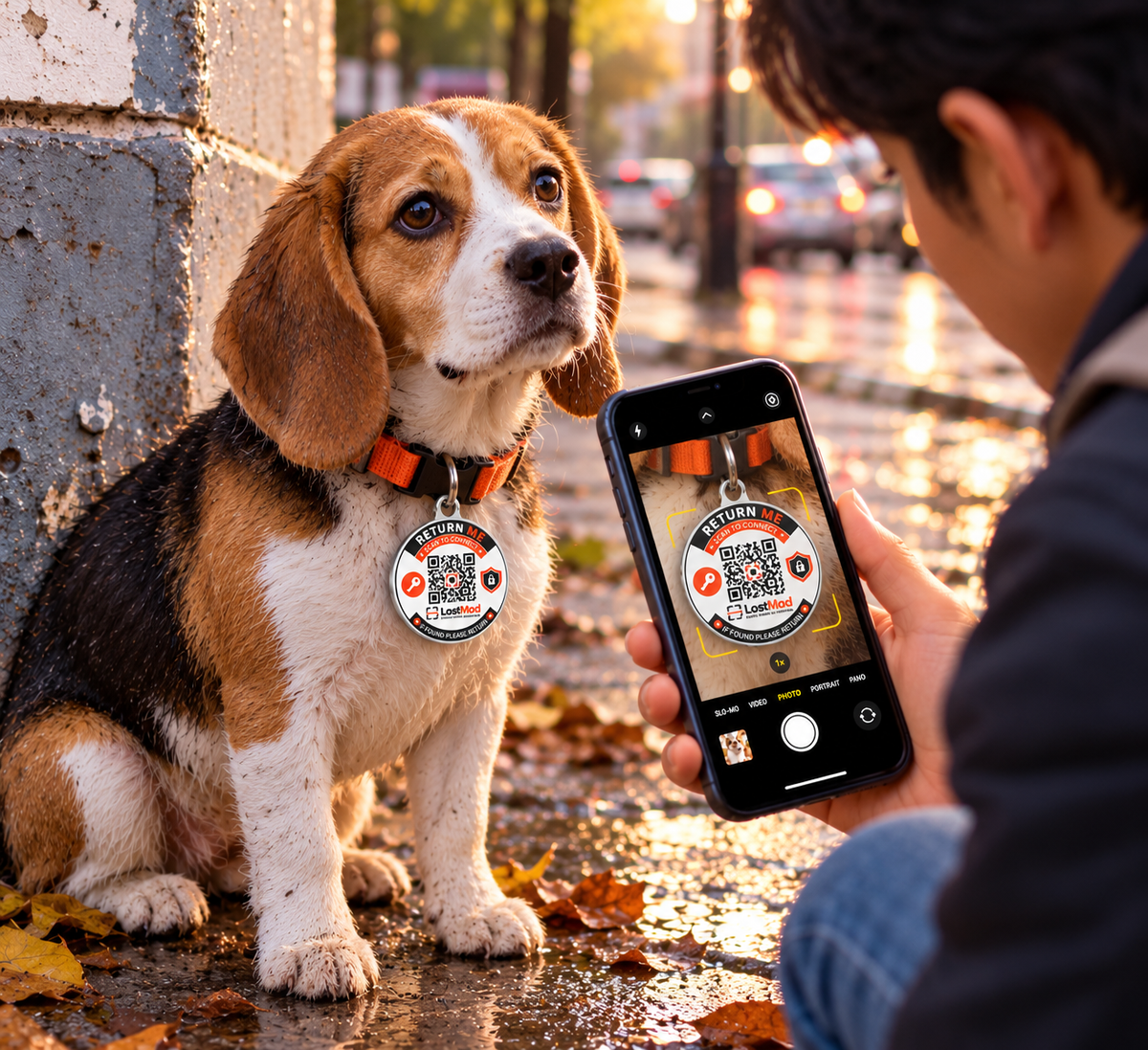 LostMod Pet Finder QR Tag | Smart Dog & Cat ID Tag