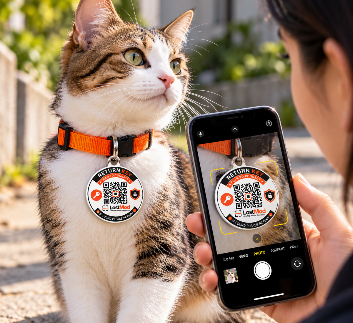 LostMod Pet Finder QR Tag | Smart Dog & Cat ID Tag